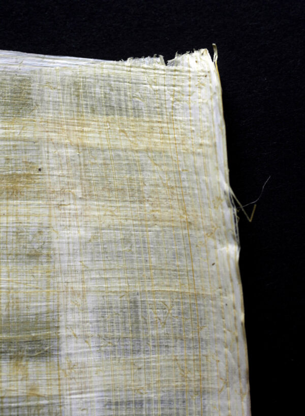 unnamed-file.jpg Papyrus - Egypt